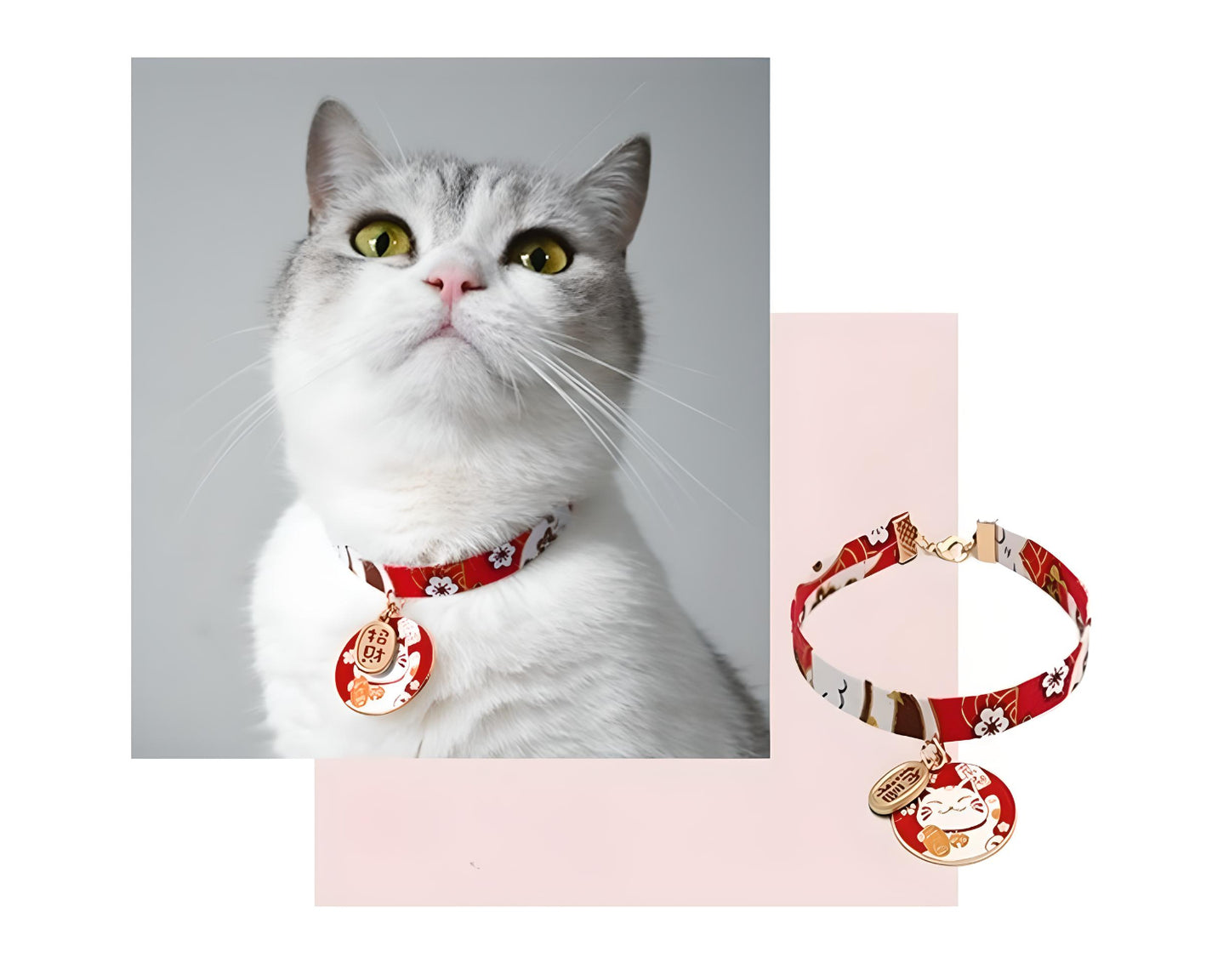 Pet Collar Japanese Style C Series