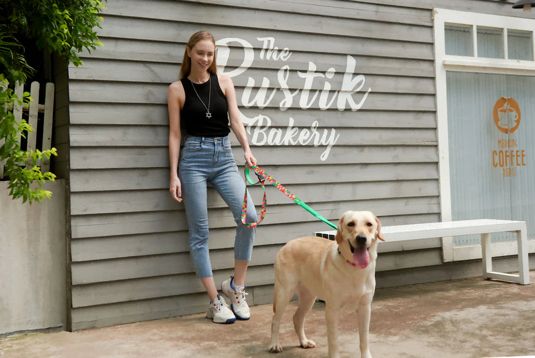 Hands-free Leash V Series - Summer Vibe