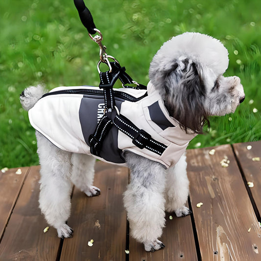 Dog Expedition Puffer Vest