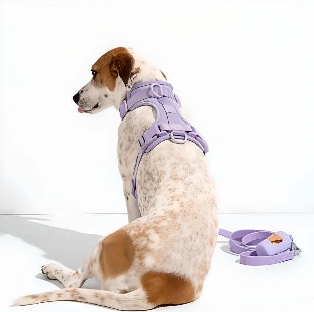 Soft Harness M Series