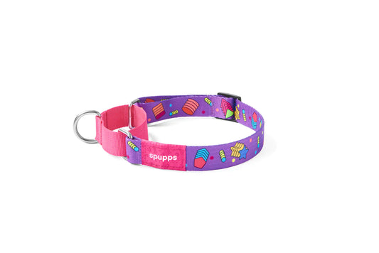 Adjustable Dog Collar V Series - Abstract Geometry