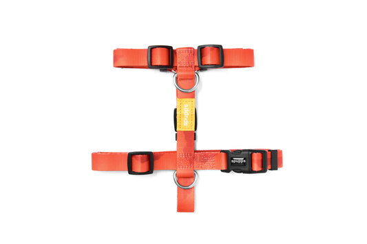 H Style Harness V Series - Sunset Hill