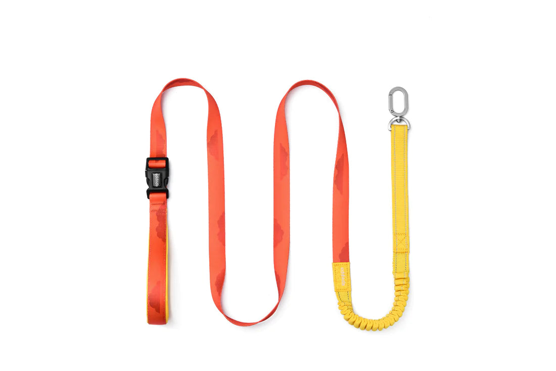 Hands-free Leash V Series - Sunset Hill