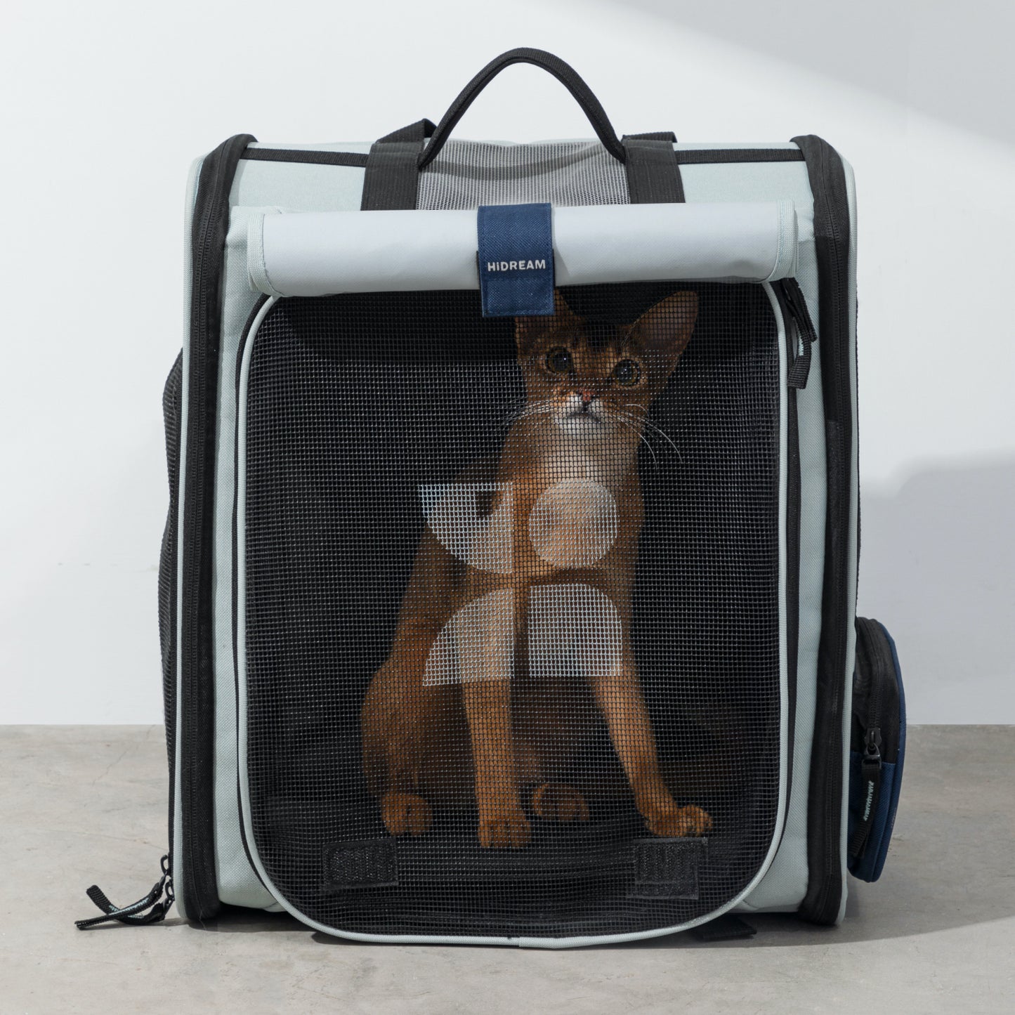 Expandable Pet Backpack