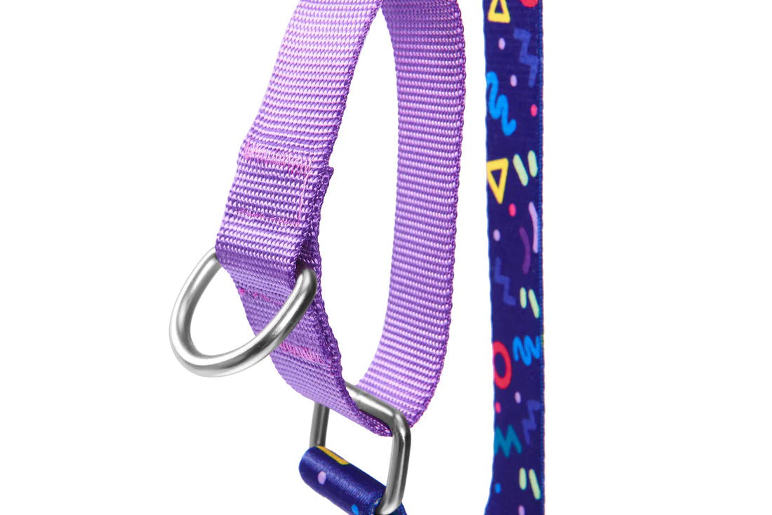 Adjustable Dog Collar V Series - Starry Night