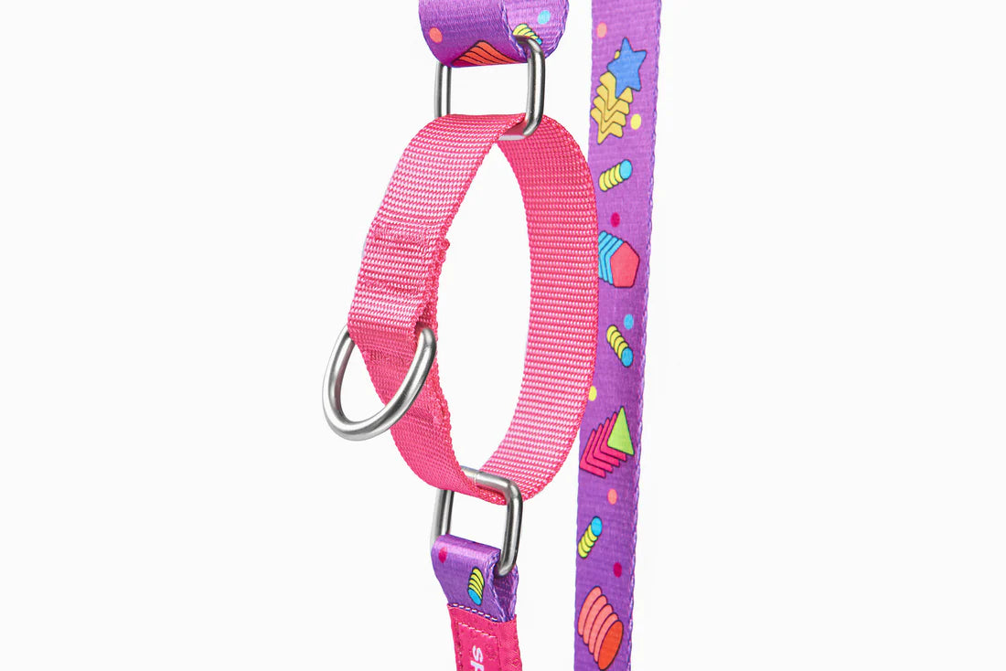 Adjustable Dog Collar V Series - Abstract Geometry