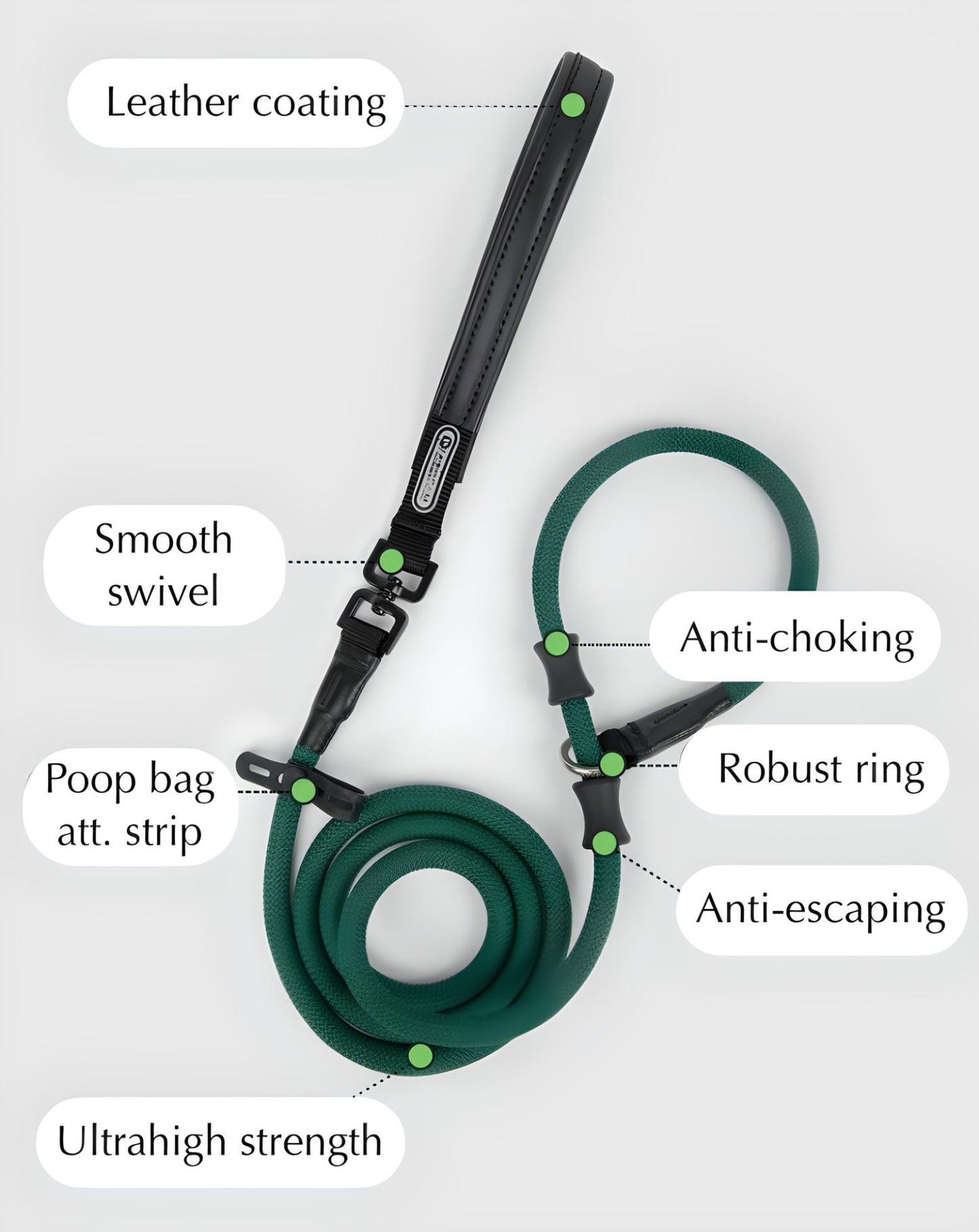 Dog Leather Premium Slip Lead