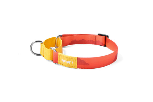 Adjustable Dog Collar V Series - Sunset Hill