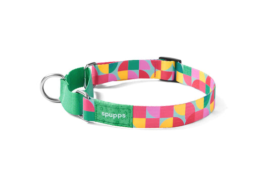 Adjustable Dog Collar V Series - Summer Vibe