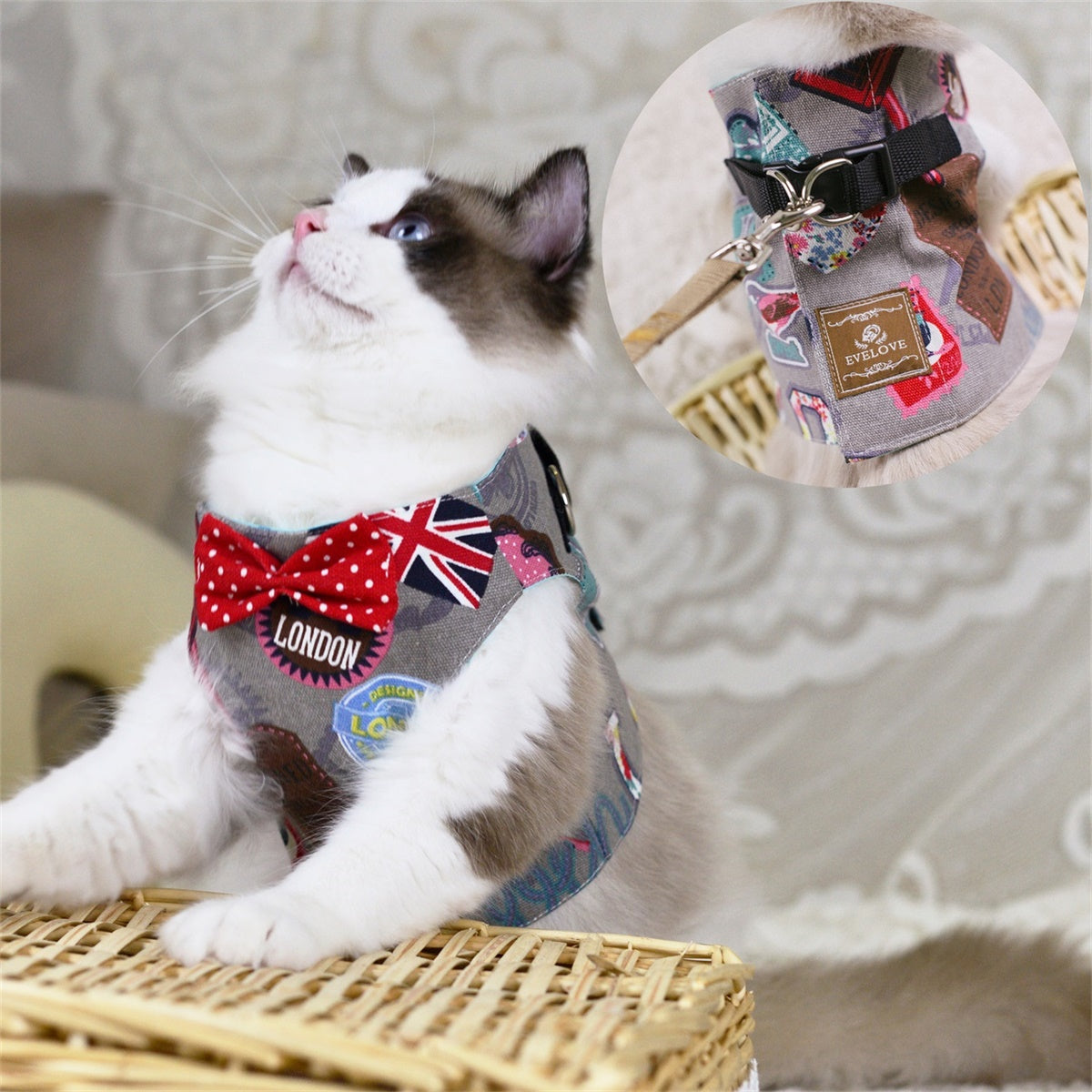 Bow Tie Harness Leash Set