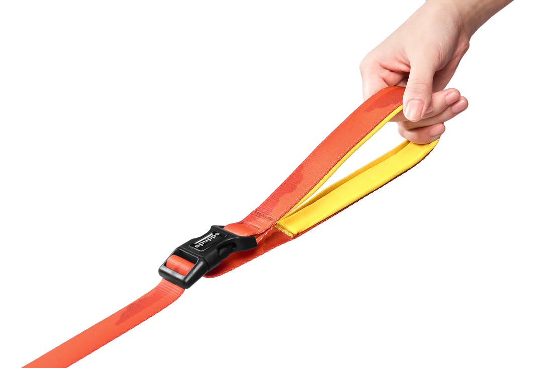 Hands-free Leash V Series - Sunset Hill