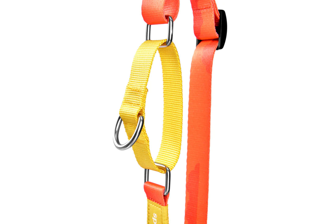 Adjustable Dog Collar V Series - Sunset Hill