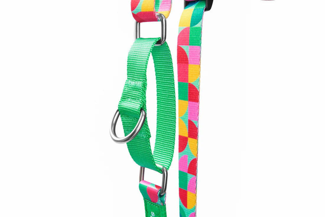 Adjustable Dog Collar V Series - Summer Vibe