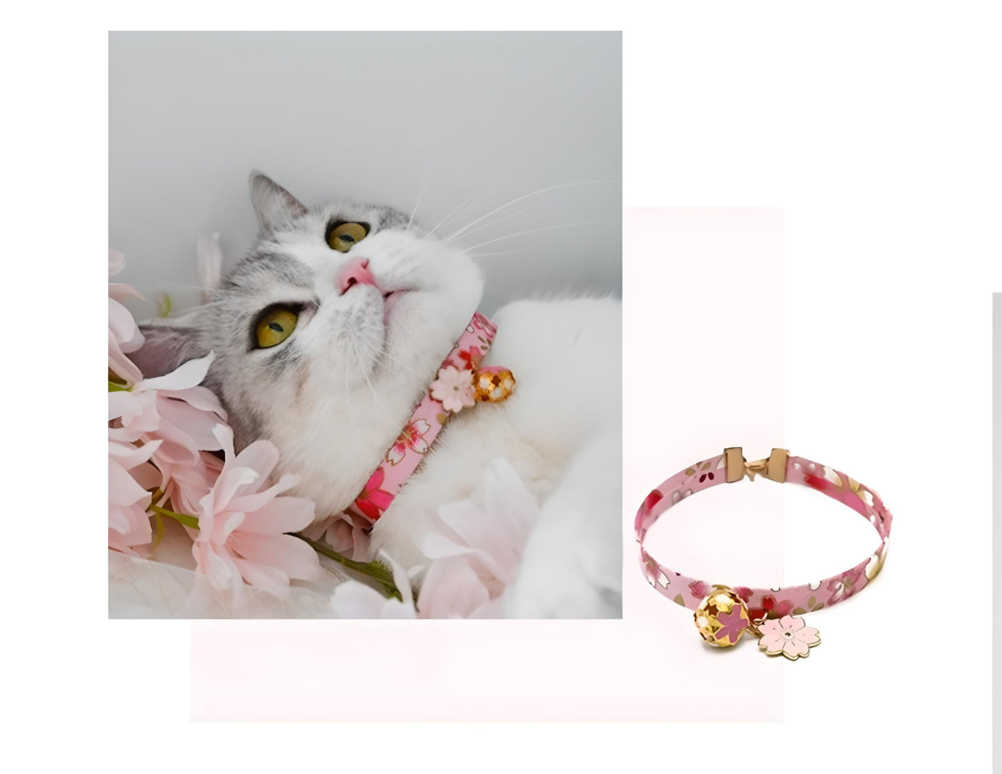 Pet Collar Japanese Style C Series