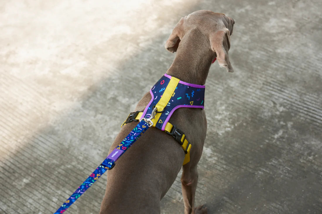 Air Mesh Harness V Series - Starry Night