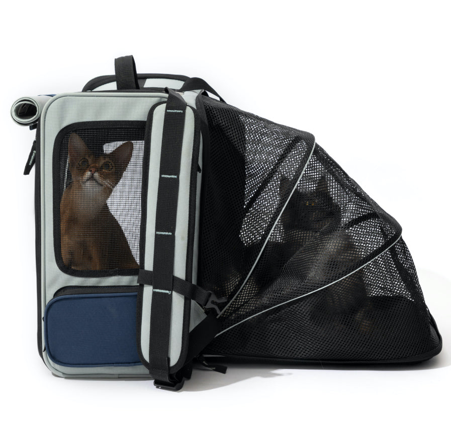 Expandable Pet Backpack